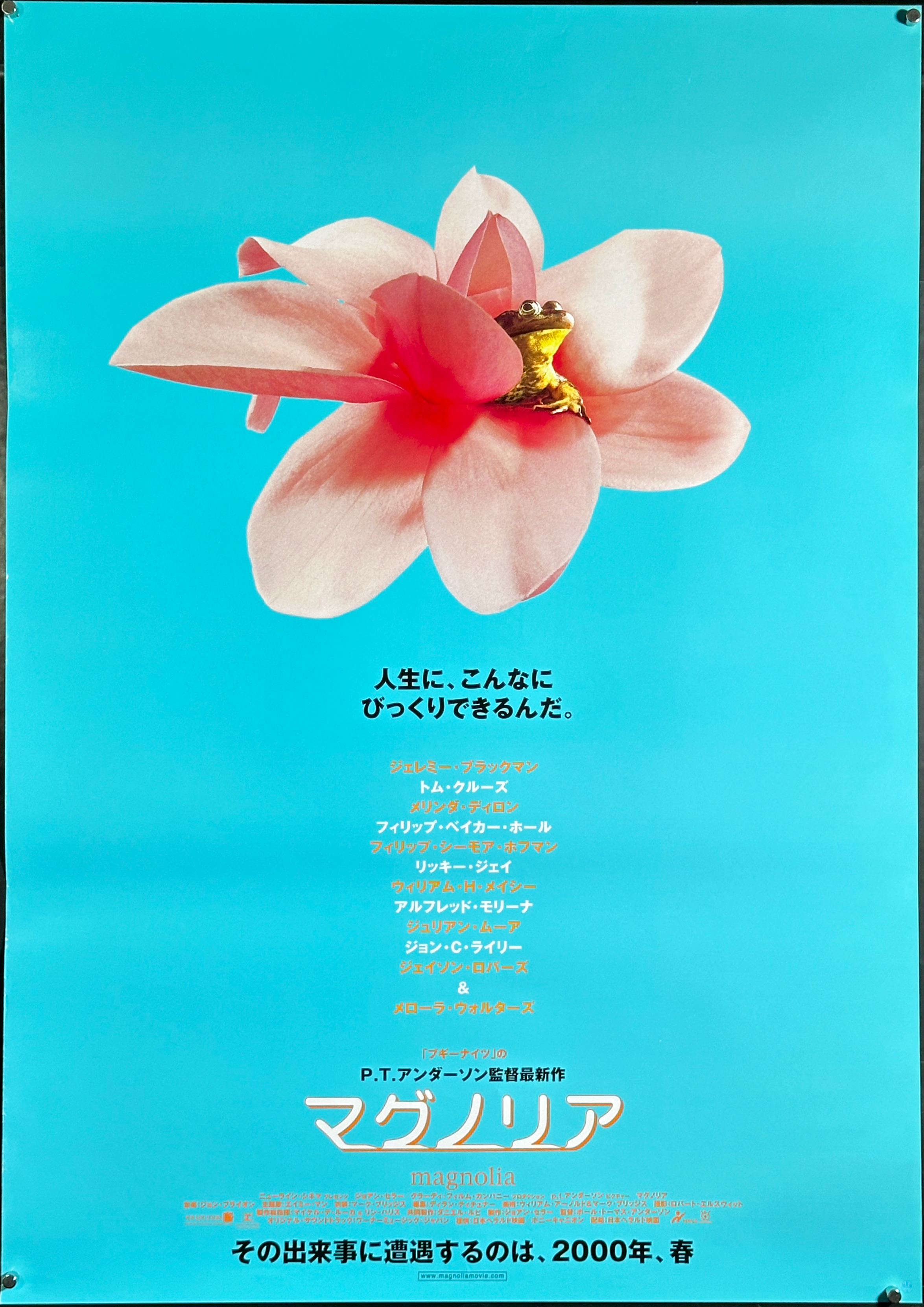 Magnolia