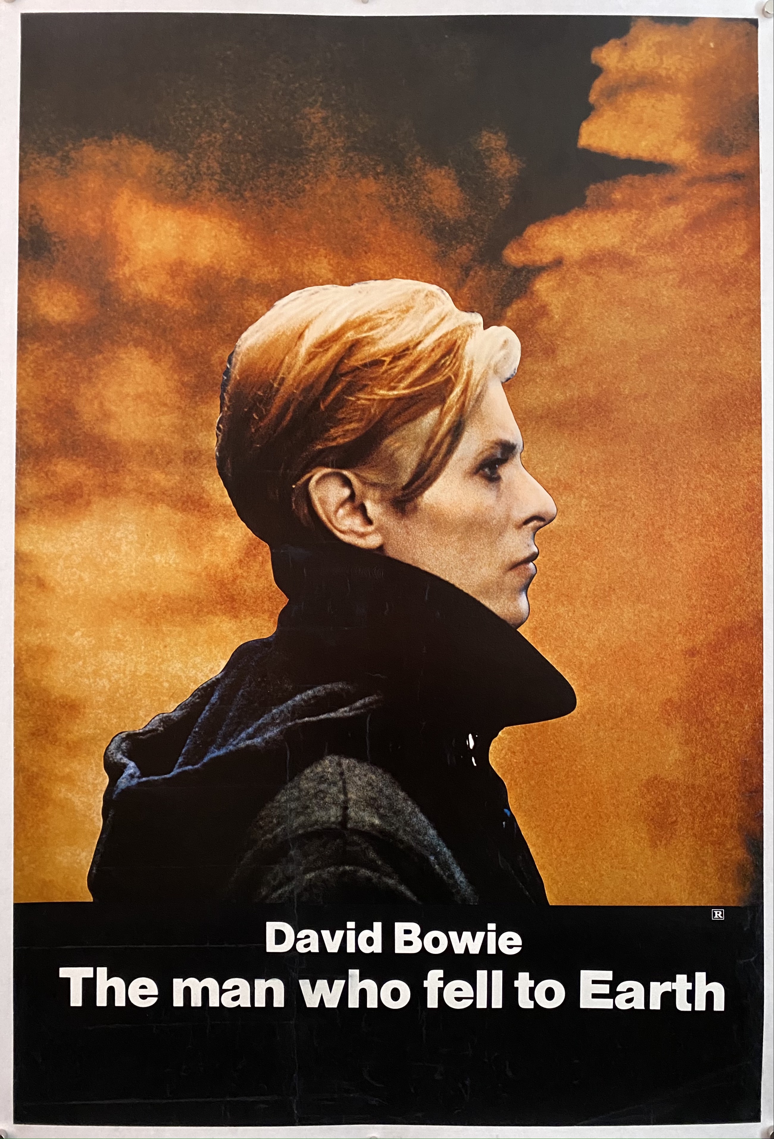 The Man Who Fell to Earth