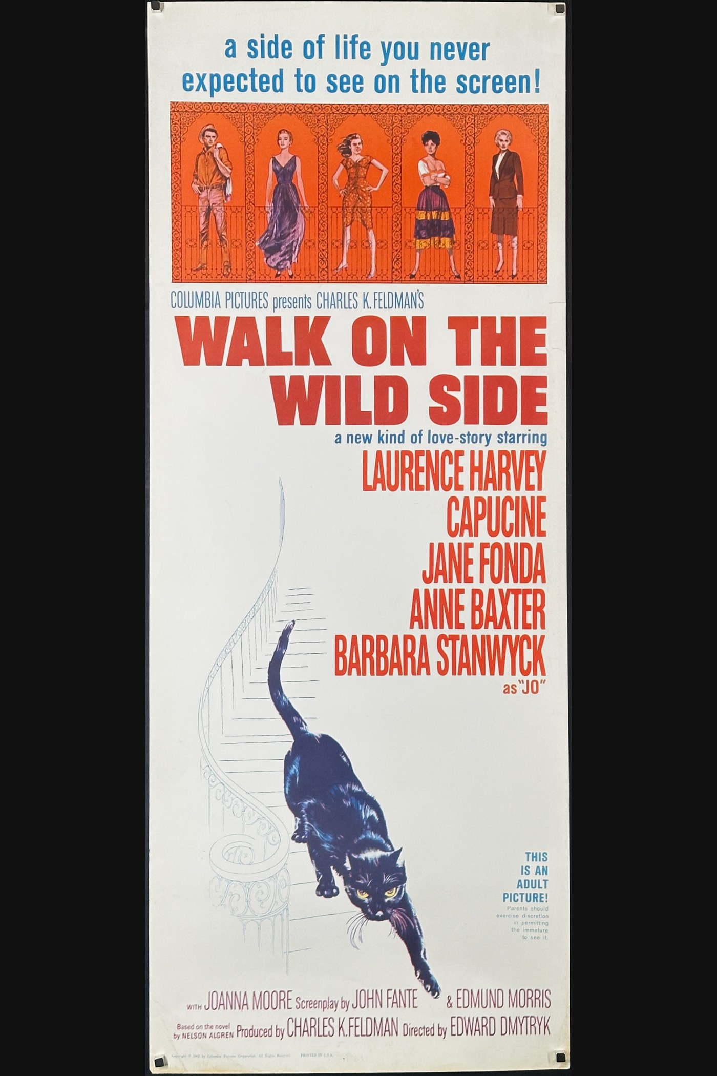 Walk on the Wild Side